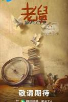 老舅电视剧免费观看全集完整版4K完整版最新一集