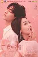 《下一站是幸福》免费在线观看-电视剧高清完整版